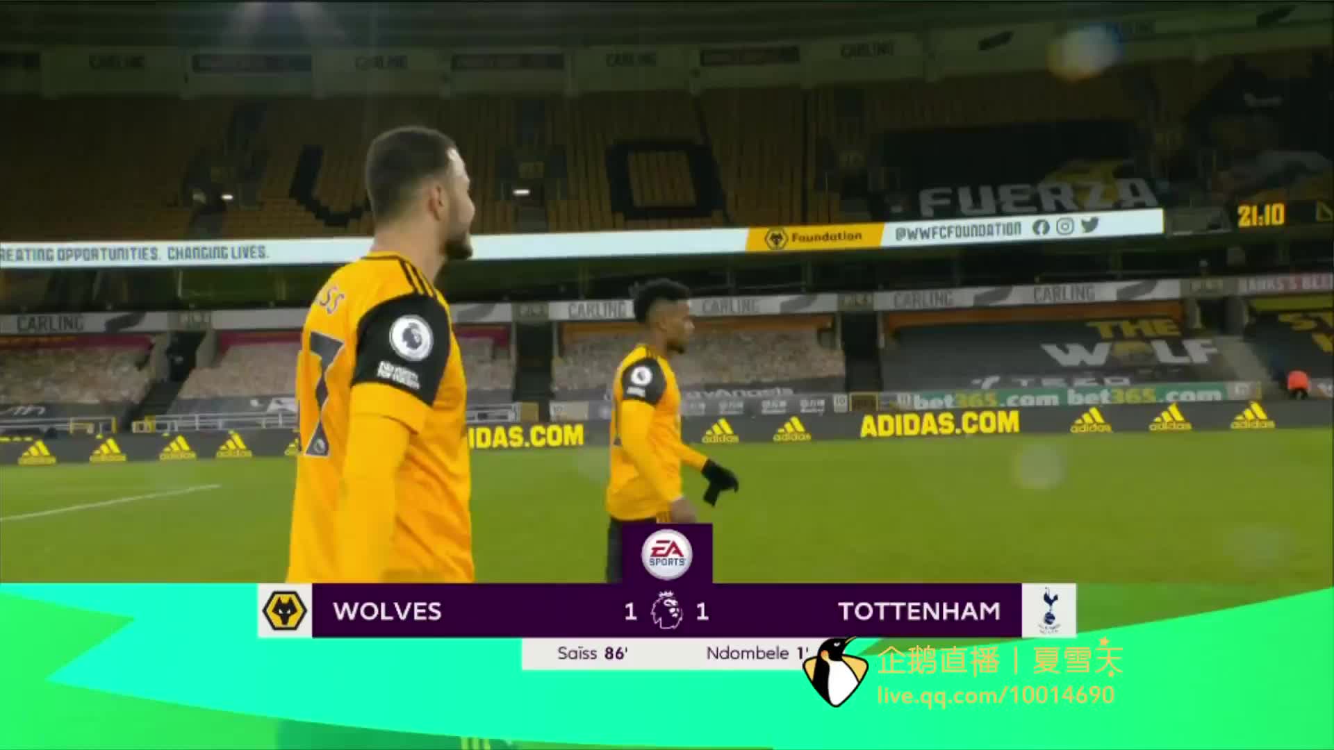 观众们可以 观众们可以